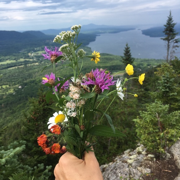 Meet your Posher, Heidi - Picture 1 of 1